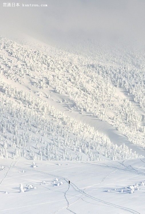 日本摄影师捕捉天然雪人奇景